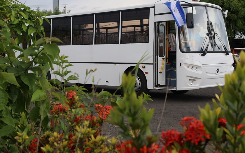 BUSES